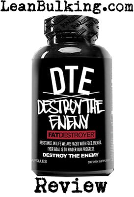 DTE Destroy The Enemy Review - LeanBulking