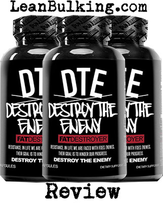 DTE Destroy The Enemy by Run Everything Labs Review - LeanBulking