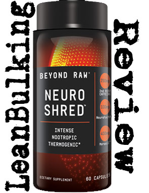 Beyond-Raw-Neuro-Shred-Review