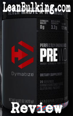 Dynamatize-PRE W.O-Review