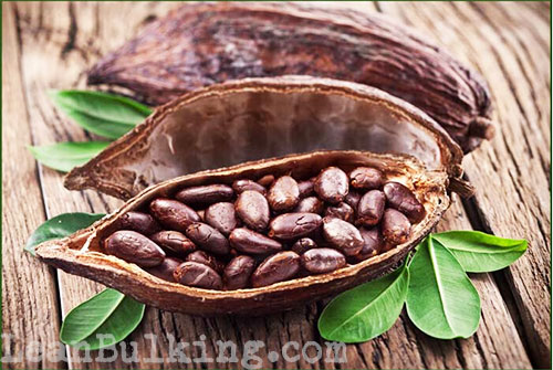 a picture of cocoa beans where theobromine is found in 