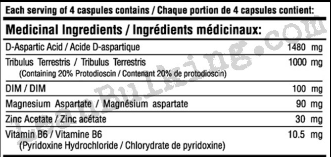 Red-X-Lab-Andro-Test-Booster-Ingredient-List-Review