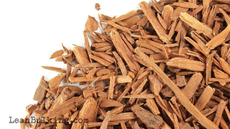 Synephrine-and-yohimbe-bark-extract-side-effects