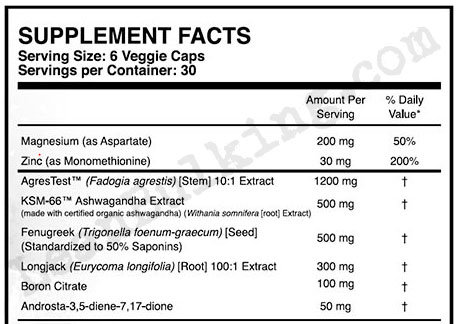 Outbreak-Nutrition-RISE-Ingredient-List-Review