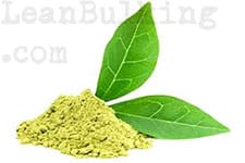 Best-Fat-Burner-For-Women-green-tea-extract