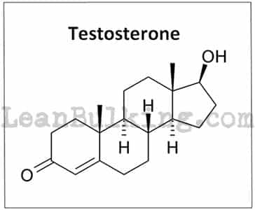 Best-Testosterone-Boosters-For-Women-T