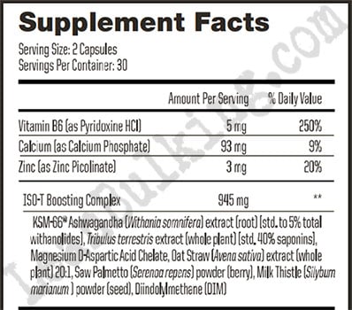 Advanced-Nutrition-Systems-Iso-T-Drive-Ingredients-Review