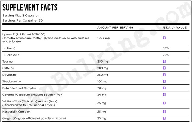 EFX-Sports-Lyzme-5-Ingredients-Review