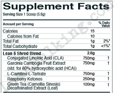 R1-Lean-5-Ingredients-Review