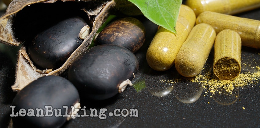 Mucuna Pruriens Dosage for Testosterone Featured Image